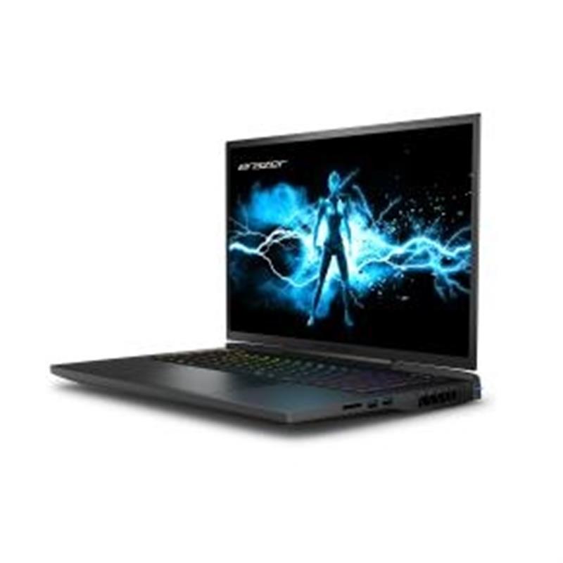 ERAZER Beast X40 Intel® Core™ i9 i9-14900HX Laptop 43,2 cm (17"") Quad HD+ 32 GB DDR5-SDRAM 1 TB SSD NVIDIA GeForce RTX 4080 Wi-Fi 6E (802.11ax) Windo