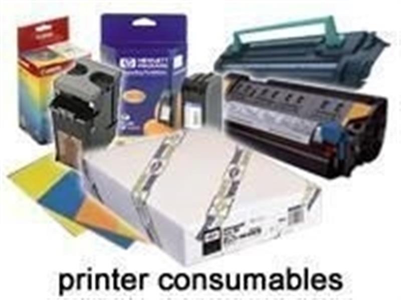 Epson Ribbon Cartridge zwart S015336