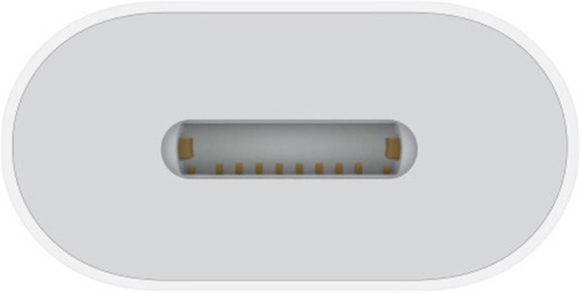 Apple USB-C to Lightning Adapter 