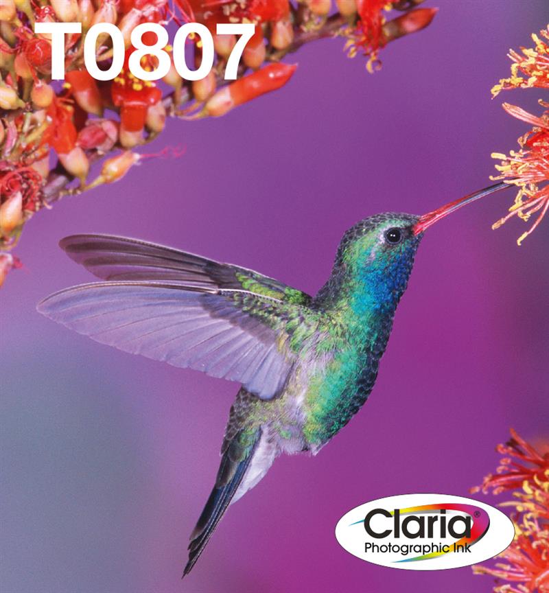 Epson Hummingbird Multipack, zes kleuren T0807 Claria Photographic Ink EasyMail verpakking