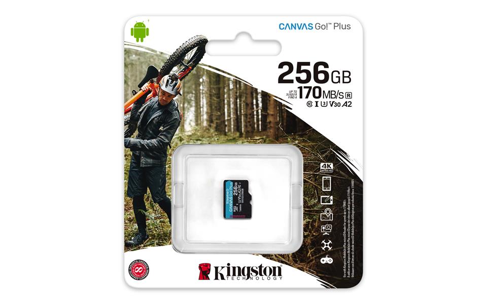 Kingston Technology Canvas Go! Plus flashgeheugen 256 GB MicroSD Klasse 10 UHS-I