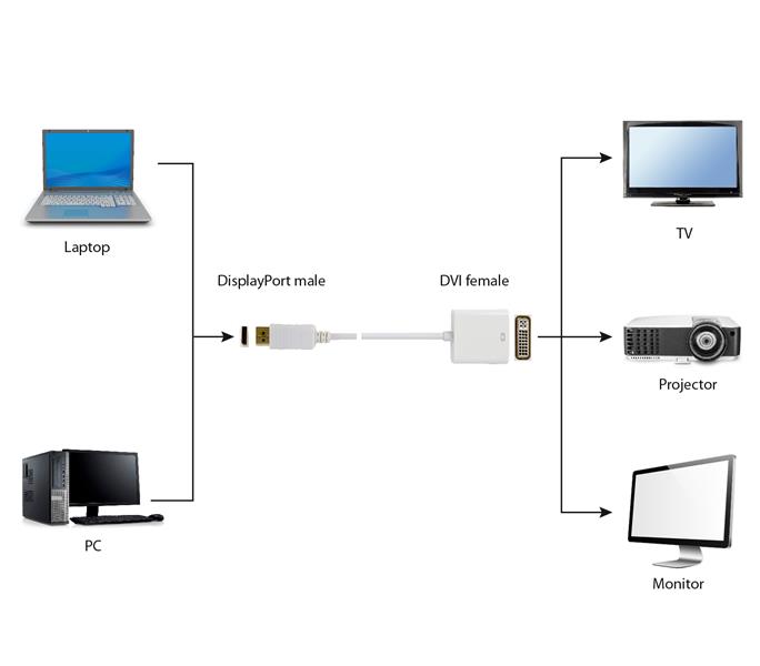 DisplayPort M - DVI F adapterkabel 10 cm wit v1 2