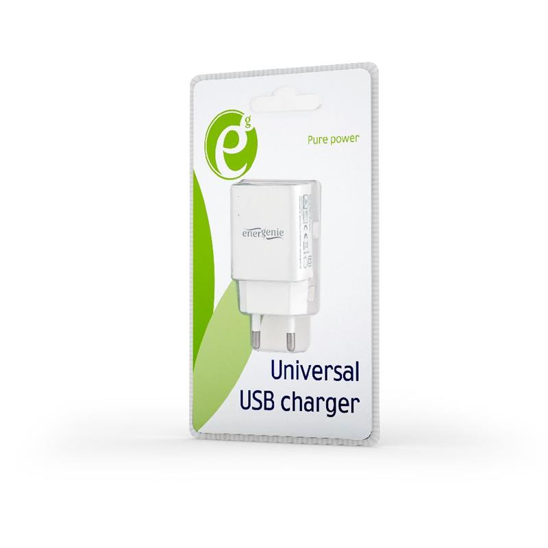 Universal USB charger 2 1 A white