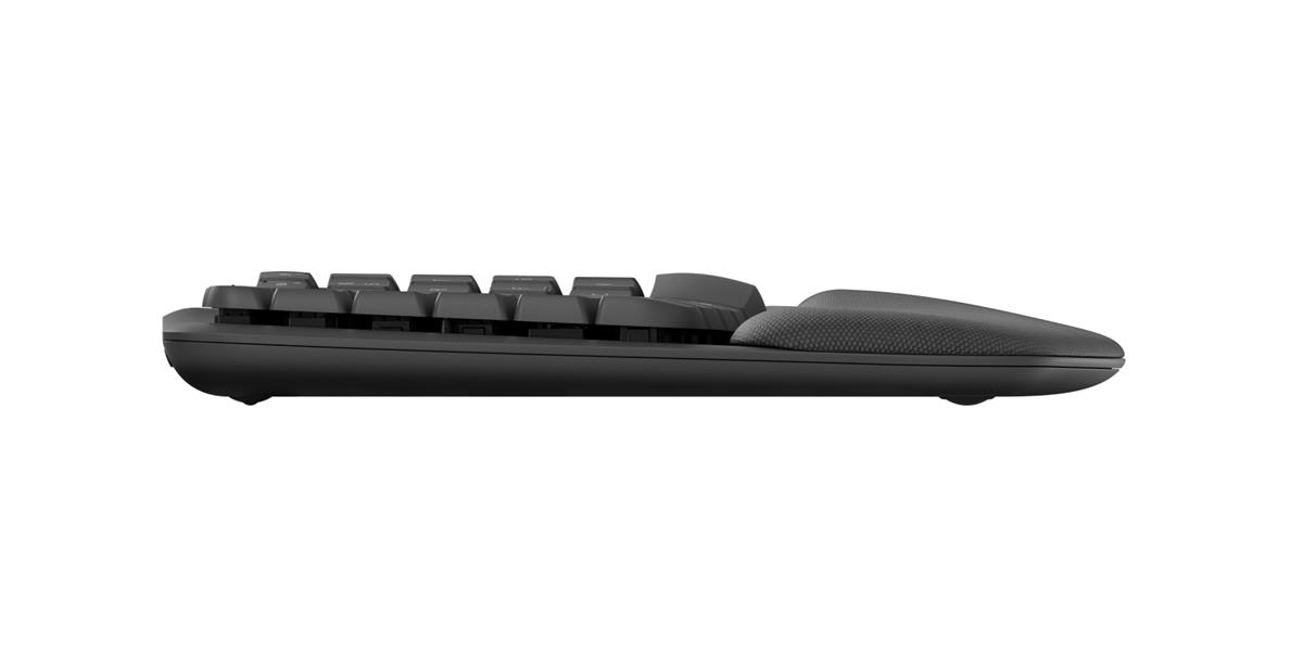 Logitech Wave Keys toetsenbord RF-draadloos + Bluetooth QWERTZ Tsjechisch Grafiet